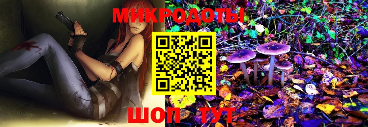 Кропоткин  Галлюциногенные грибы Cubensis  Вход с VPN 
