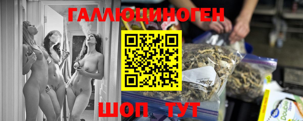Псилоцибиновые грибы Psilocybe Кропоткин